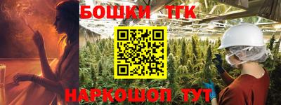 мдпв Гатчина