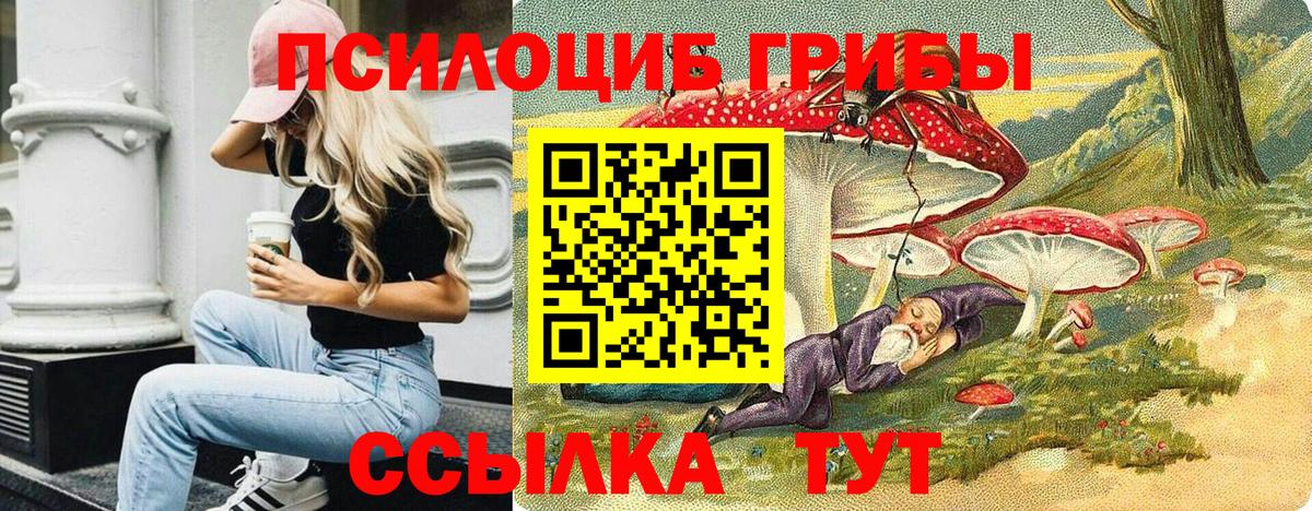 Псилоцибиновые грибы мицелий Белорецк